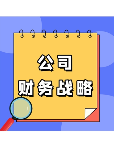 公司財務(wù)戰(zhàn)略