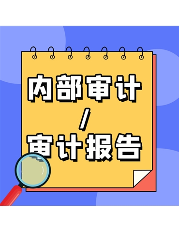 內(nèi)部審計(jì)/審計(jì)報(bào)告