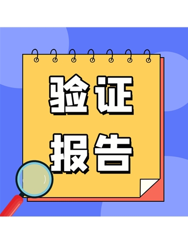 驗(yàn)證報(bào)告