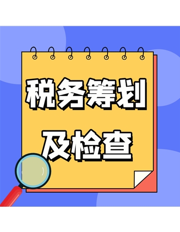 稅務(wù)籌劃及檢查