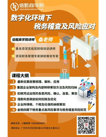 《數(shù)字化環(huán)境下稅務稽查及風險應對》